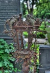 DSC_3280_1_2_tonemapped